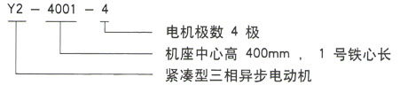 Y2系列三相異步電機技術參數——西安泰富西瑪電機（西安西瑪電機集團股份有限公司）官方網站